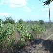 Building Plot In a Quiet Villa Zone