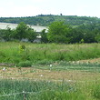 Development land near berkovitsa