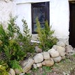 House for sale near Berkovitsa