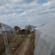 Farm for sale near Plovdiv